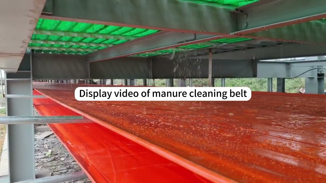 PVC Manure Cleaning Belt#pvctarpaulin #factory