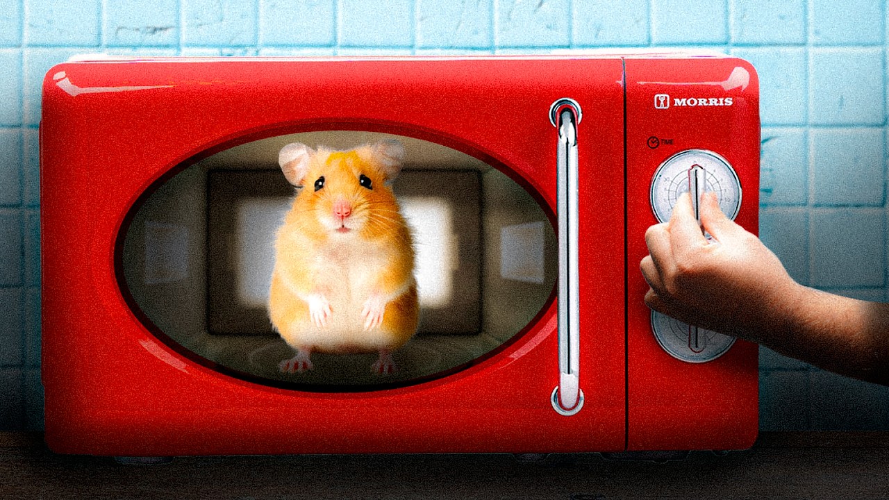 The Science of how being Bored makes you Sadistic