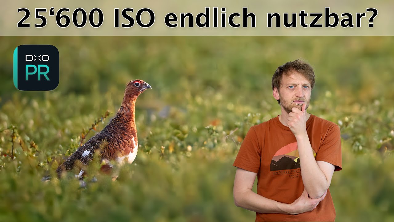 DXO PureRAW 5 - Rauschunterdrückung für Extremsituationen