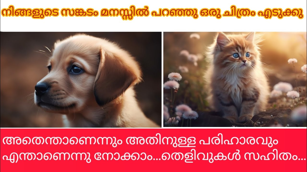 നിങ്ങളുടെ സങ്കടങ്ങൾക് പരിഹാരം...