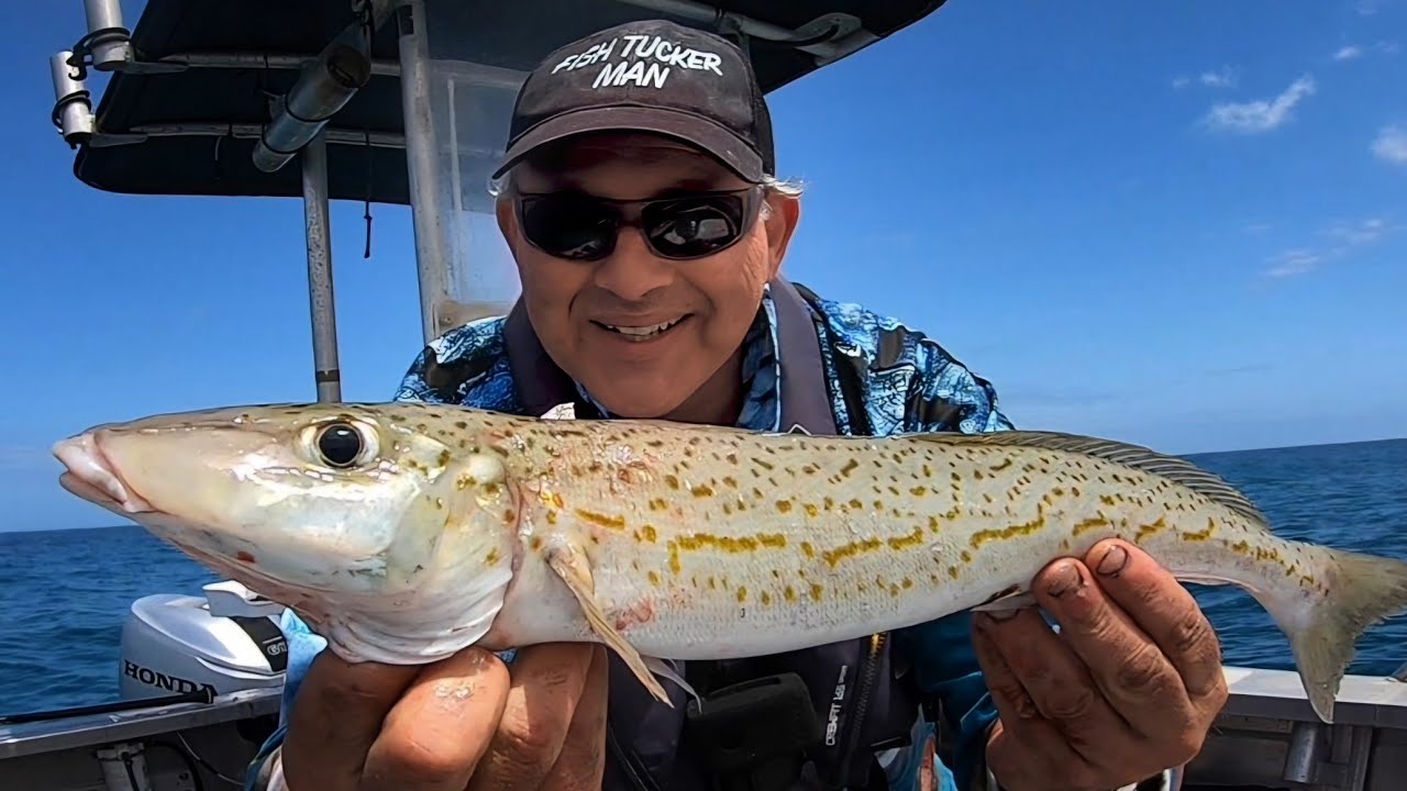 I Found the King George Whiting Honey Hole! Catch n Cook
