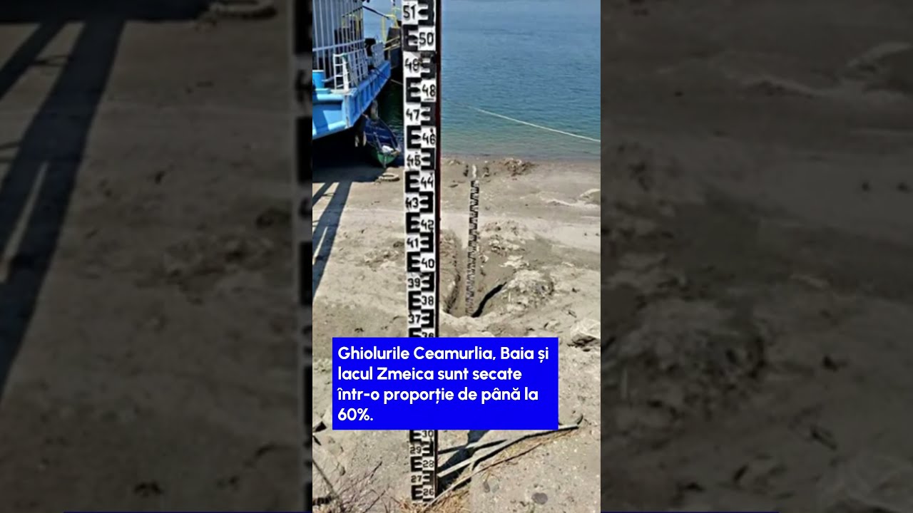 Dezastru &icirc;n Delta Dunării. Canale secate, lacuri impracticabile, flora și fauna distruse