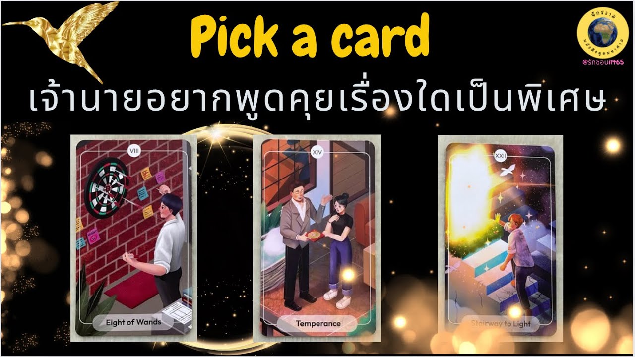 PICK A CARD เจ้านายอยากพูดคุยสื่อสารกับคุณในเรื่องใดเป็นพิเศษ ⭐🌻❤️🎁👍 #timeless