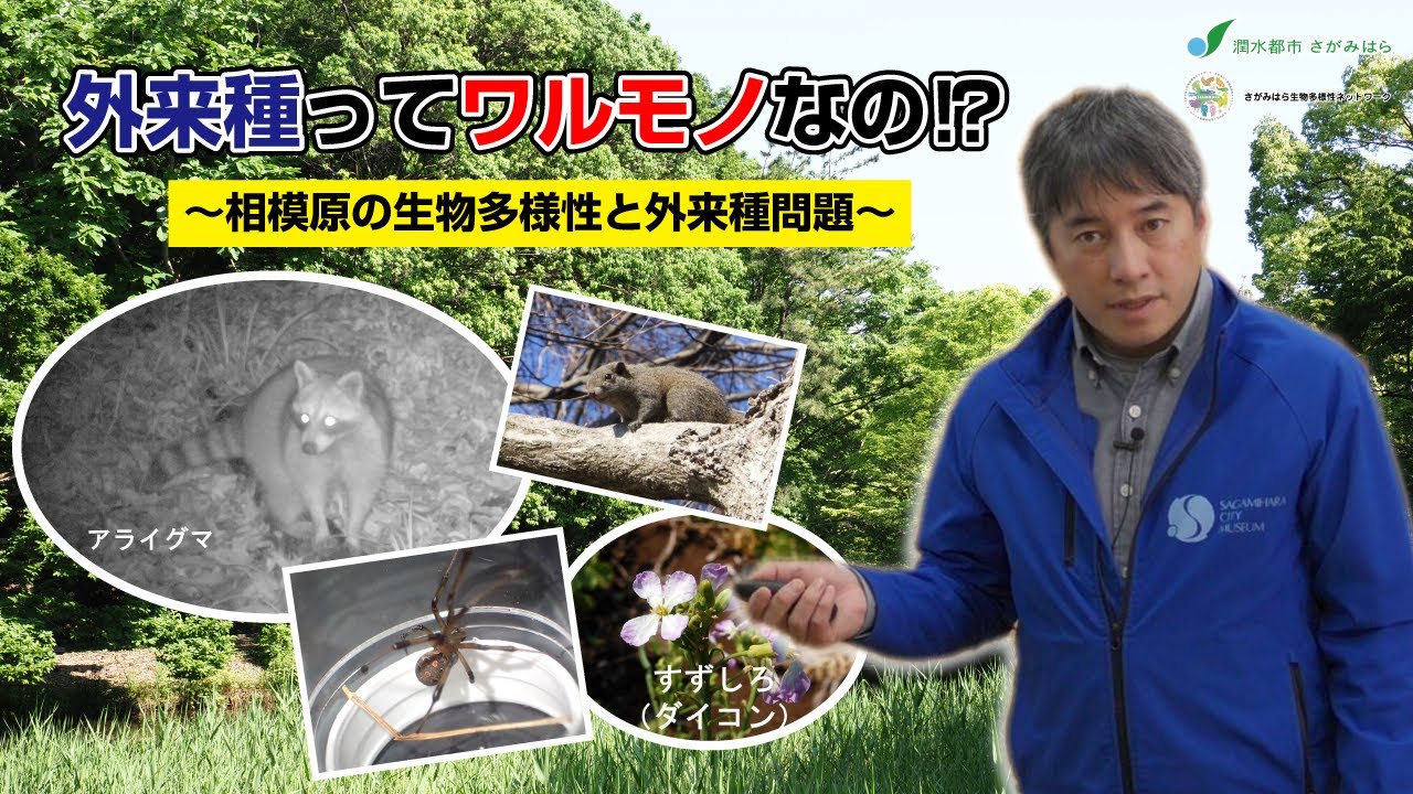 外来種ってワルモノなの⁉　～相模原の生物多様性と外来種問題～