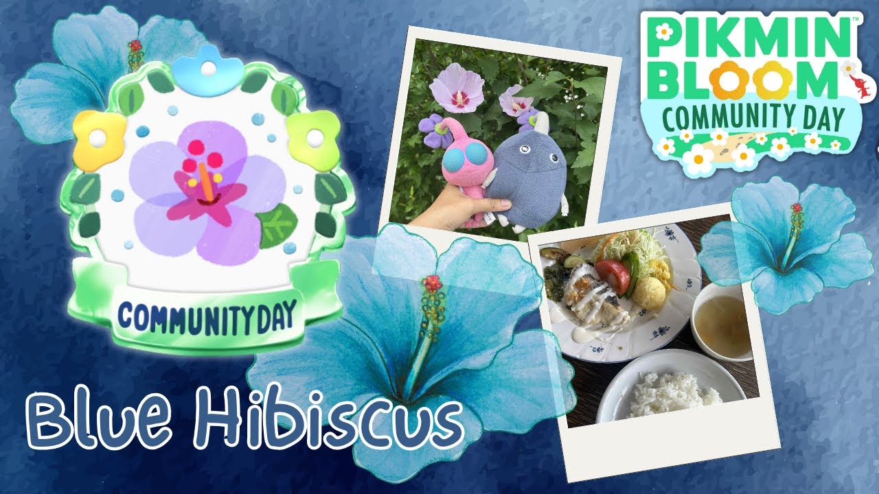 Blue Hibiscus Community Day, August 2025 【Pikmin Bloom】