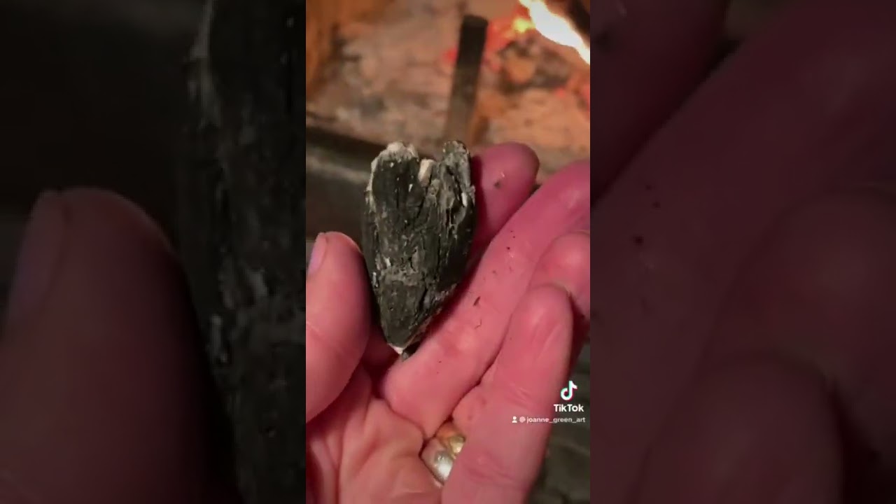 Nature Crafts: Making Charcoal Ink #shorts