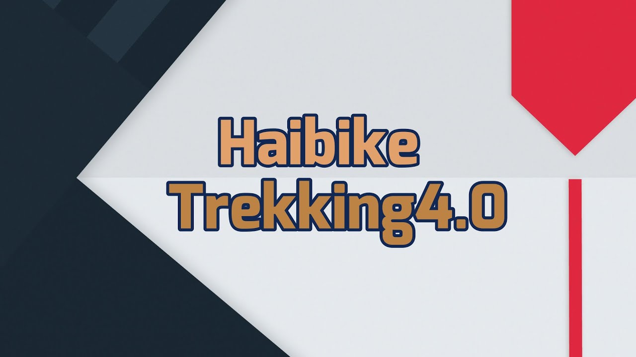 E Bike Vorstellung Haibike S Duro Trekking 4.0 (2020)