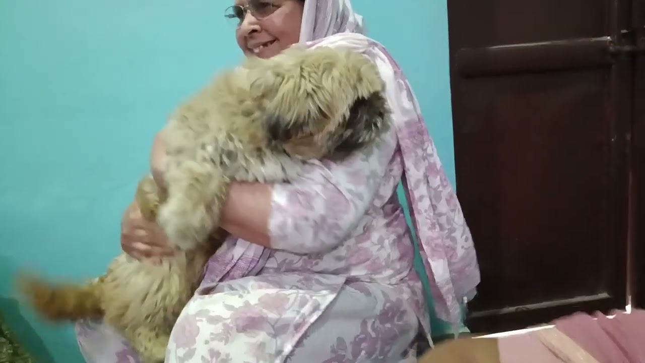 हम दो रानी जिठानी पानी चले जकड़ी गीत मस्त