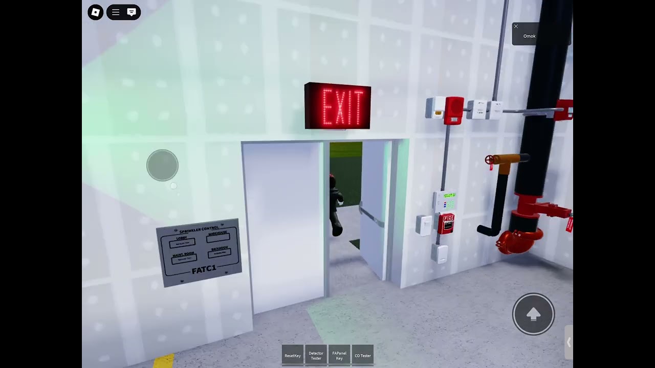 Security system testing ￼