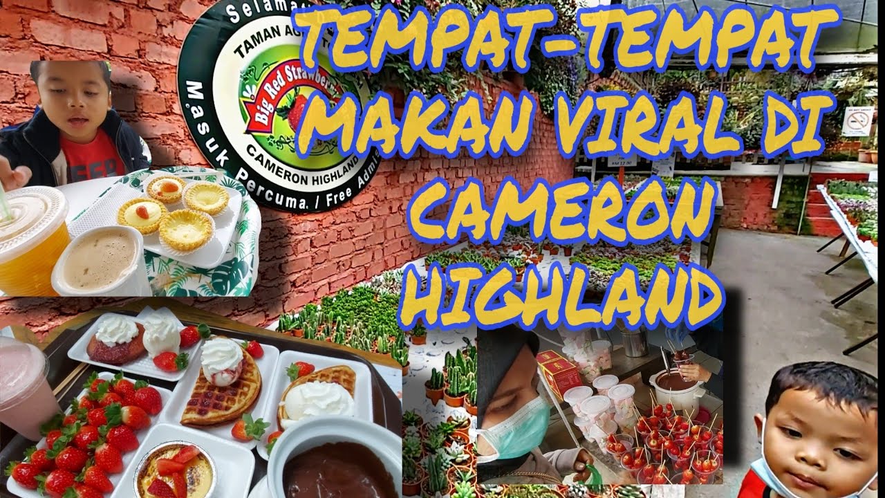 Tempat makan viral dan menarik di CAMERON HIGHLANDS #cameronhighlands #cameron #malaysia