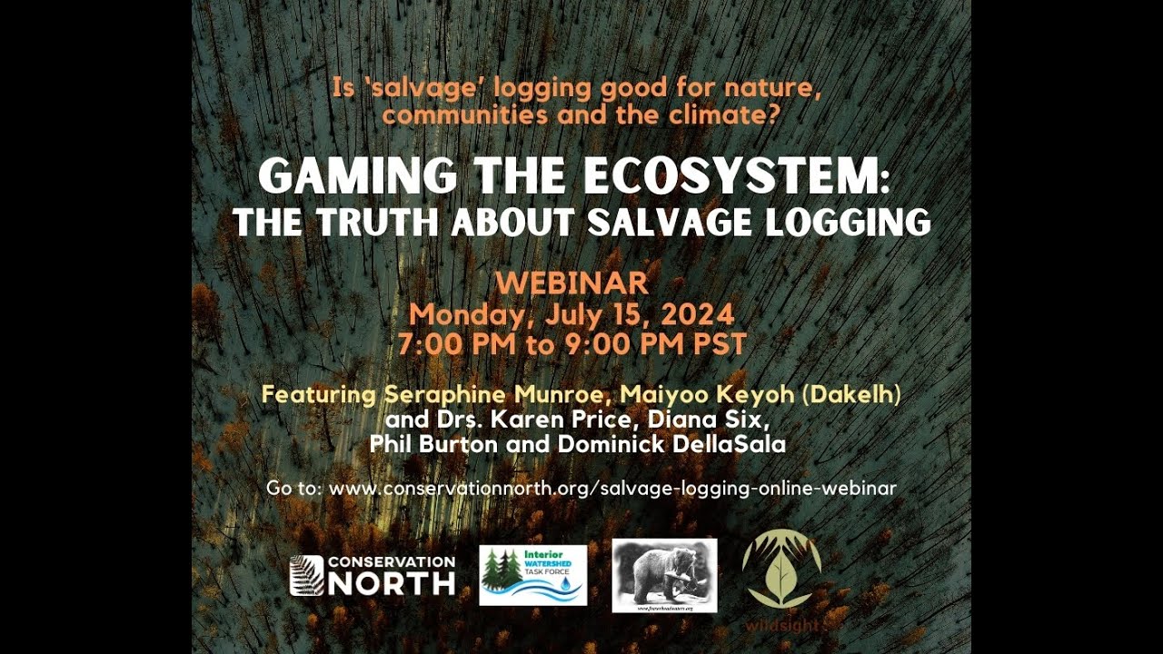 Gaming the ecosystem: the truth about salvage logging