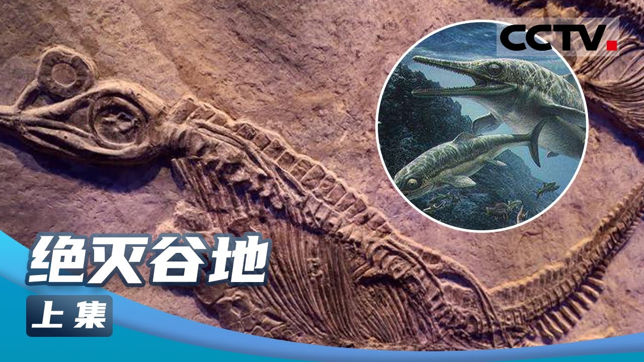 《绝灭谷地》比恐龙更早的远古海洋巨兽！考古学家发现巨型化石 揭秘鱼龙灭绝之谜（上集）【CCTV纪录】