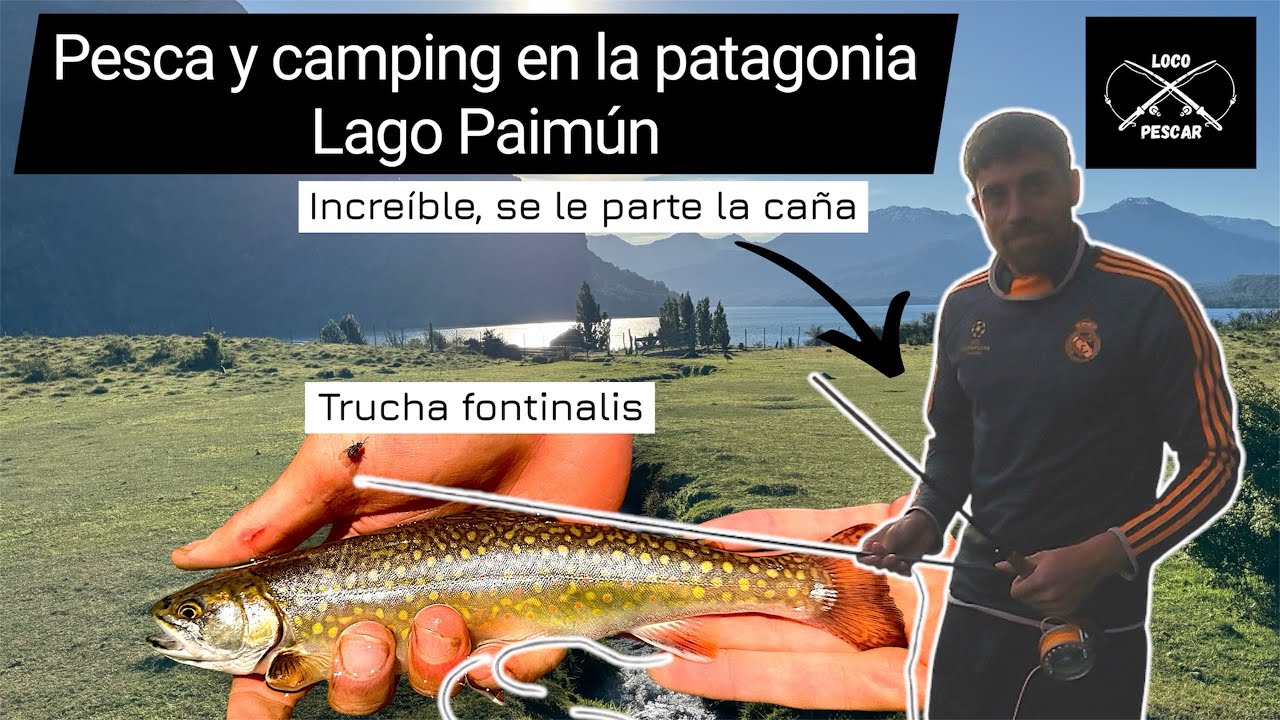 Pesca y camping en la Patagonia - trucha fontinalis y se le parte la caña de mosca