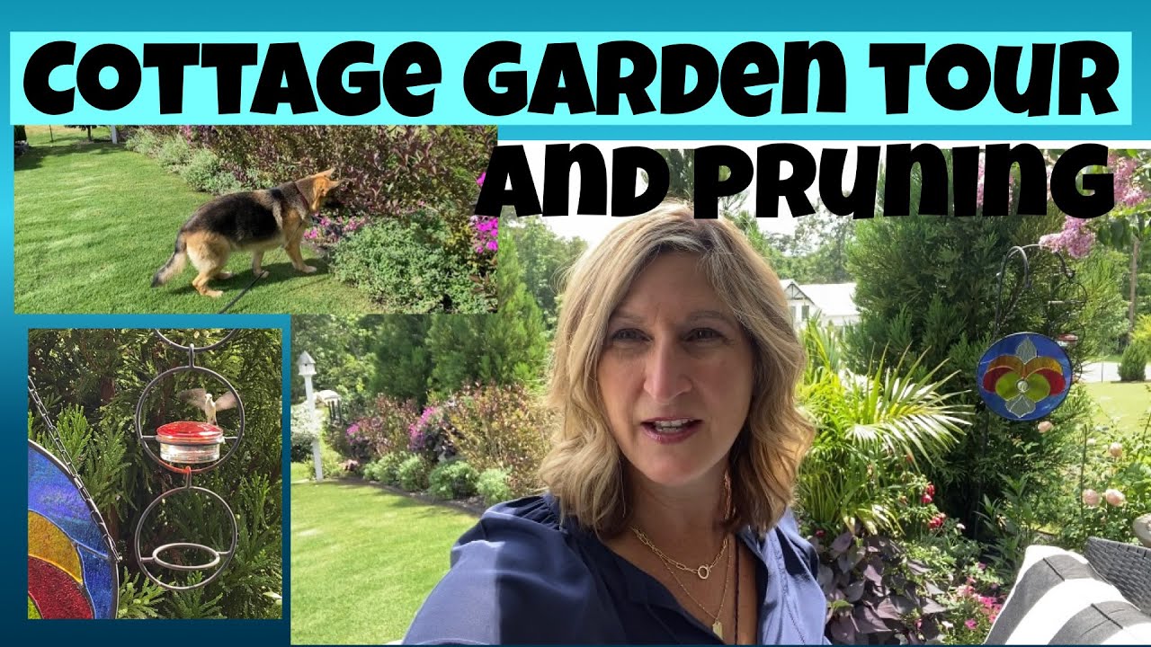 July 2022 Cottage Garden tour and pruning nepeta, tall phlox, butterfly bushes, DA roses, and more.