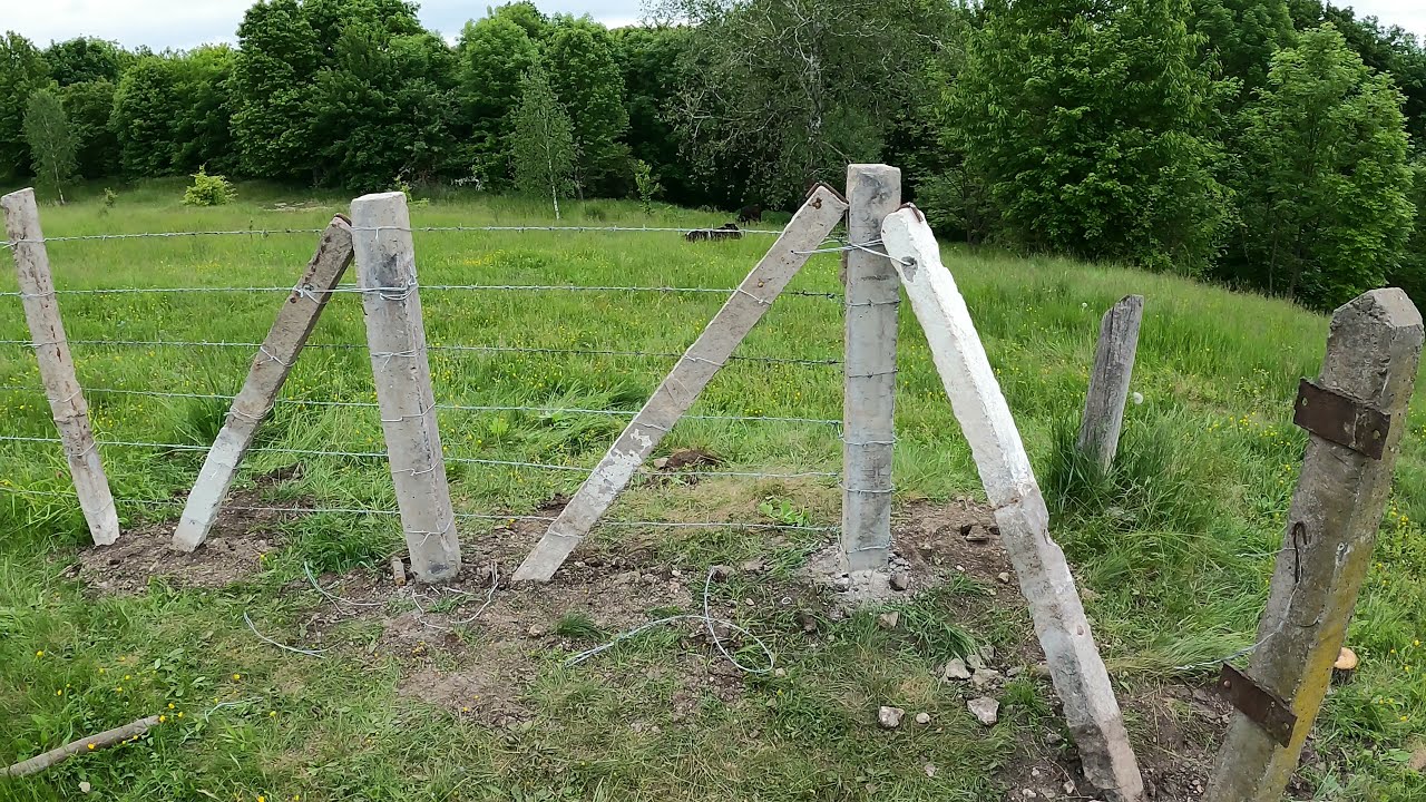 Goodbye Barsik and Welcome to the Gulag!