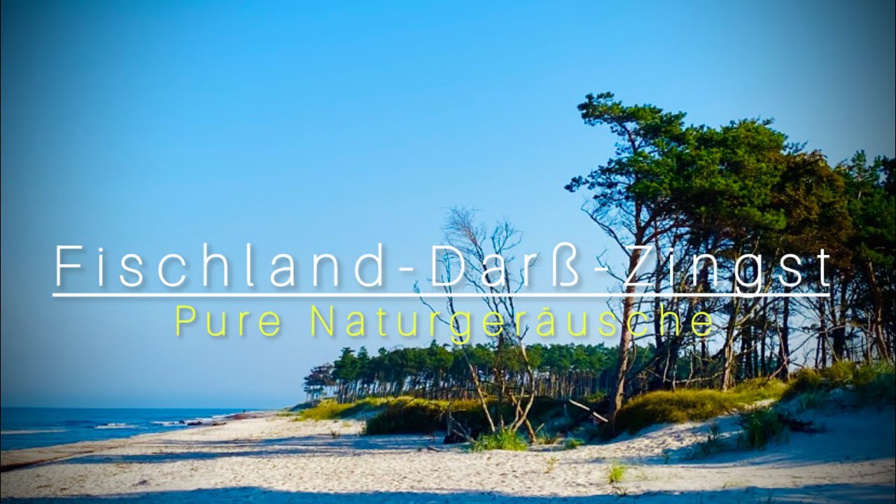 Fischland-Darß-Zingst 🇩🇪Ostsee , Naturgeräusche Pur , Original Sound,  #ostsee #darß #prerow