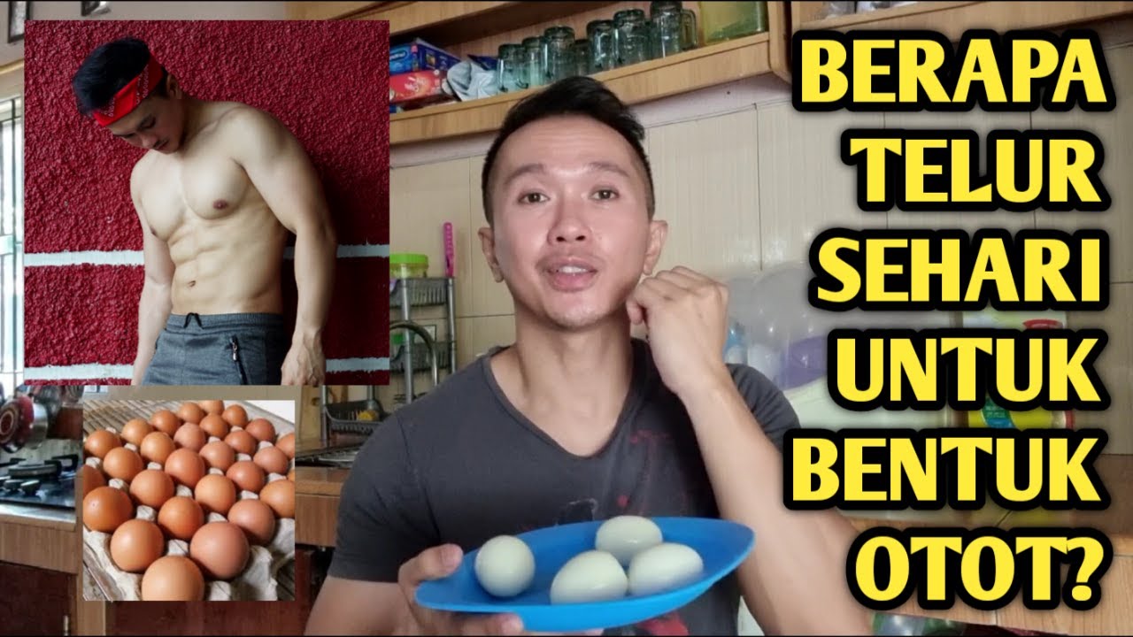 BERAPA KEBUTUHAN PROTEIN SEHARI UNTUK MEMBENTUK OTOT. DIET TELUR REBUS UNTUK BENTUK OTOT DI RUMAH
