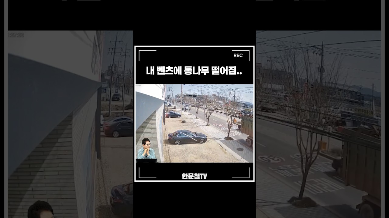 #2737 억울해 죽겠네 ㅠㅠ #shorts