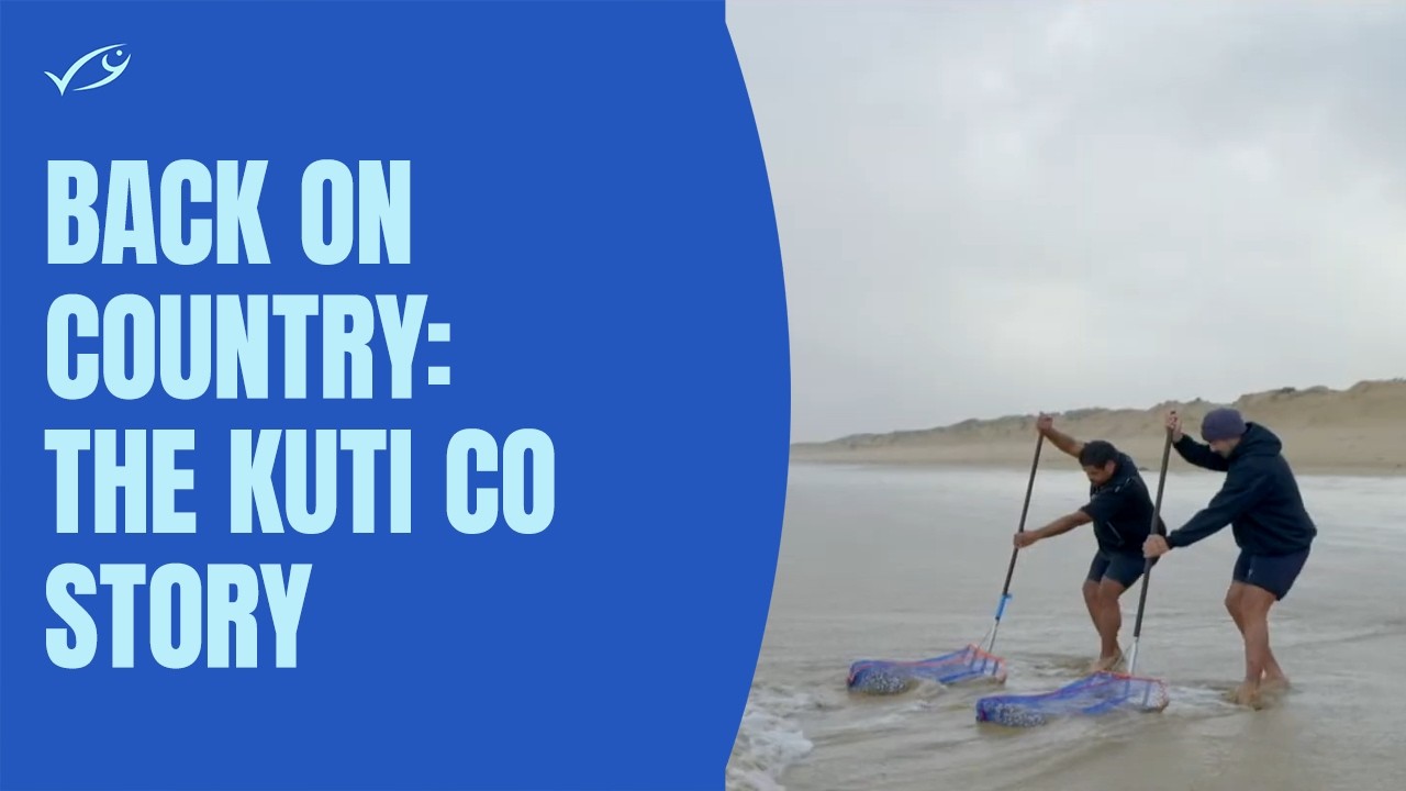 Back on Country &ndash; the Kuti Co story