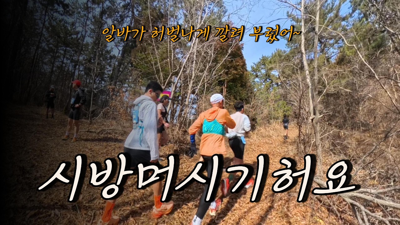 제1회 섬섬여수트레일레이스ㅣ겁나거시기해부럿다ㅣ알바천국ㅣ