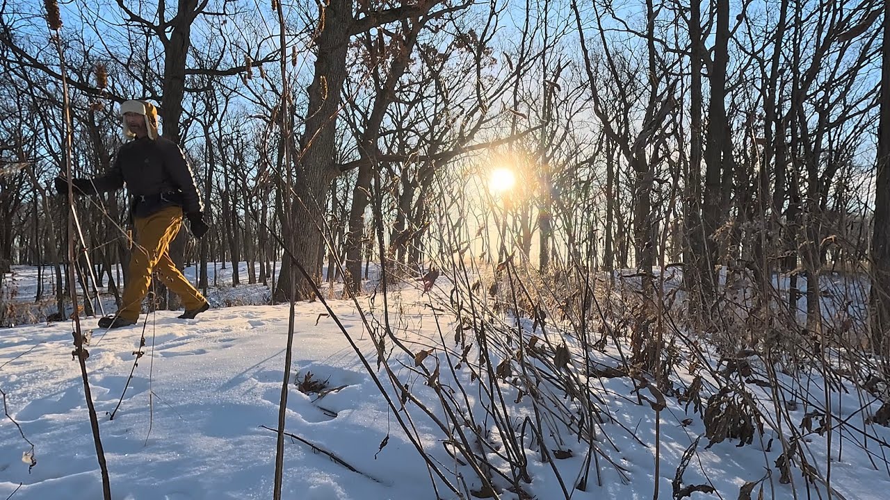 SILVERWOOD park.  Another hidden gem in Dane county !