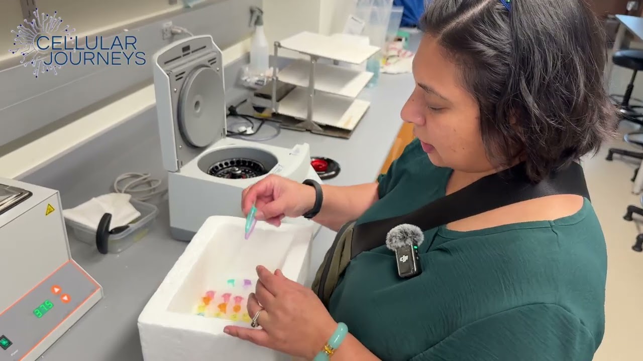 Cell Disruption Techniques for Protein Prep (Beginner-Friendly Lab Tutorial)