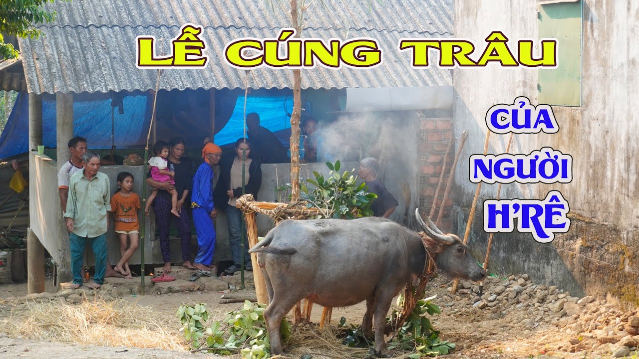 Lễ cúng độc đáo của người dân tộc H'rê tỉnh Quảng Ngãi_Tập 01
