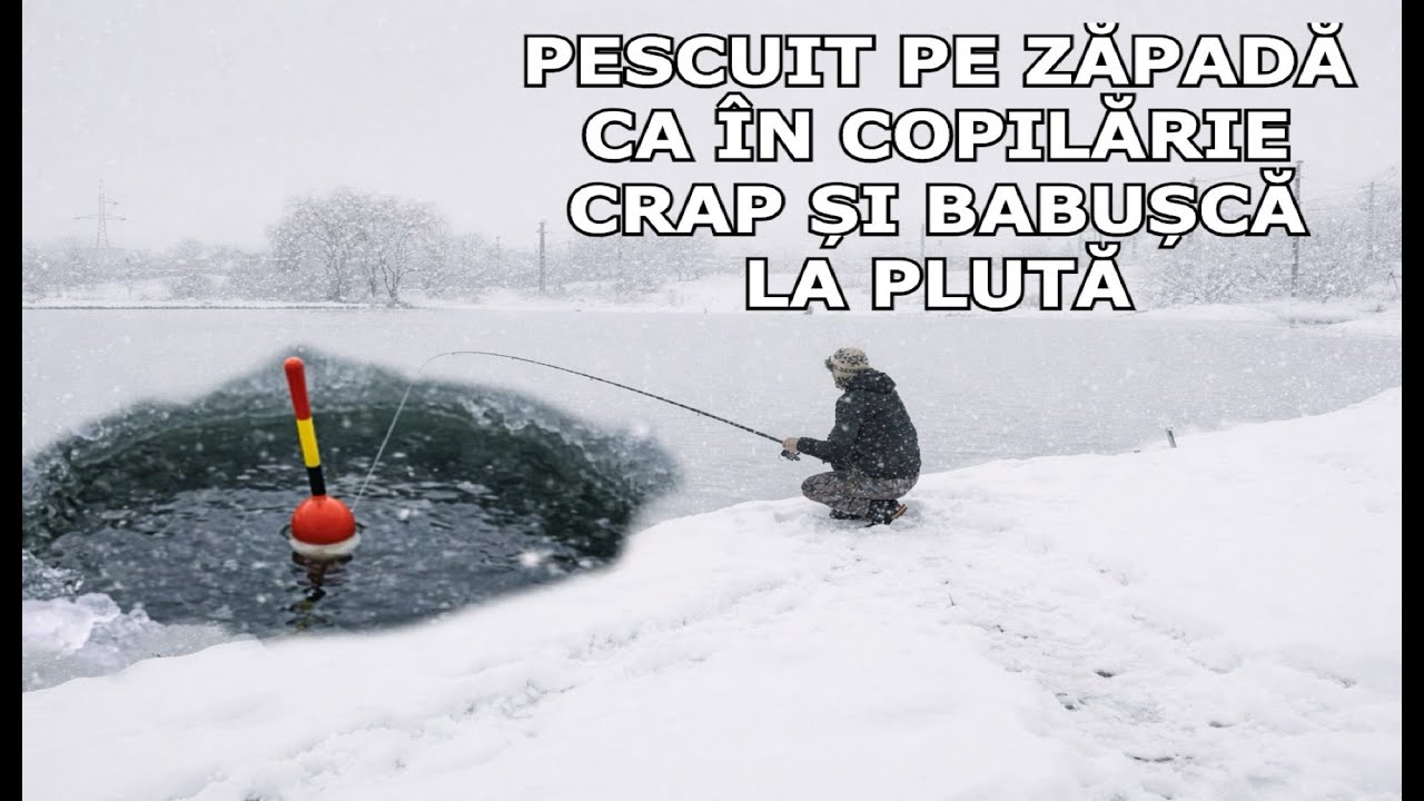 Pescuit PE ZĂPADĂ DE VIS CA ÎN COPILĂRIE LA PLUTĂ CRAP si Babușcă - 3 Ianuarie 2026