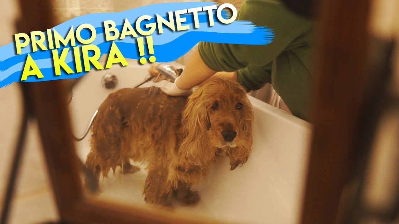 PRIMO BAGNETTO AL MIO CUCCIOLO DI CANE a casa!! *bagno a kira*