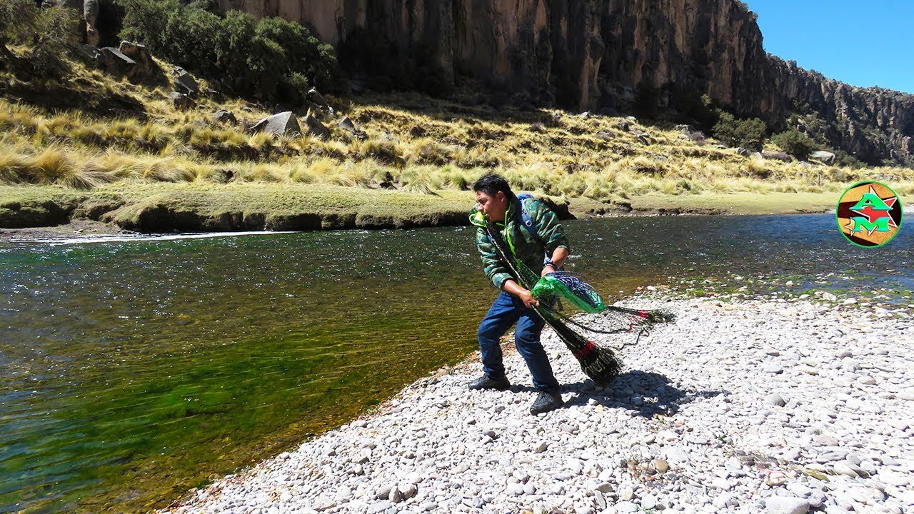 Impresionante PESCA DE TRUCHAS EN RÍO - Pescando Truchas con Atarraya