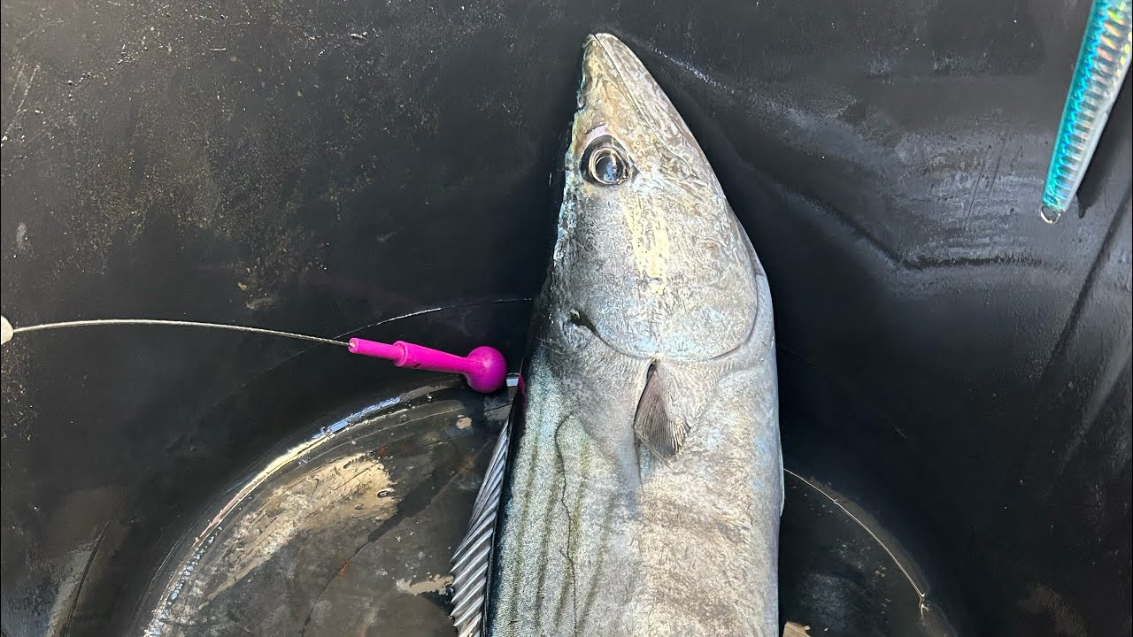 @rockangling4867 @SAKURAFISHING @SHIMANO_TV @ikejimechannel5418 @akamifishing5748