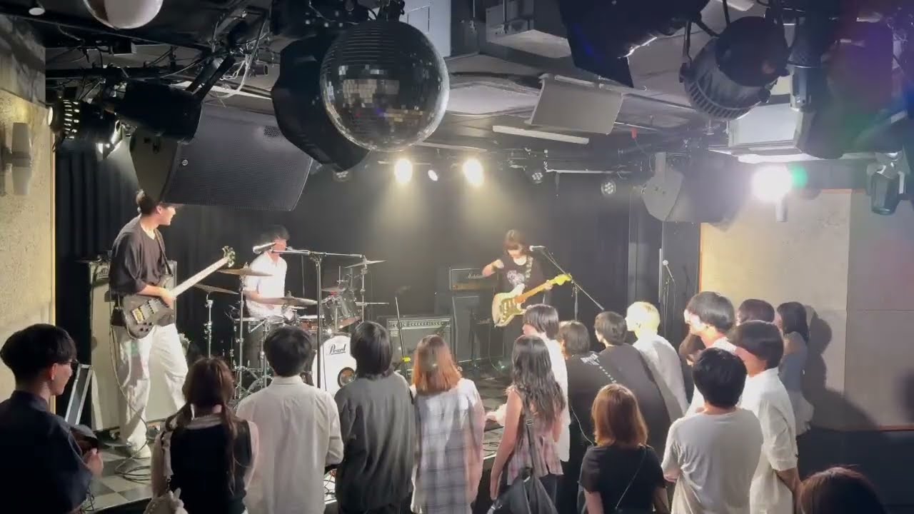 SPANKY ALIEN / 板歯目