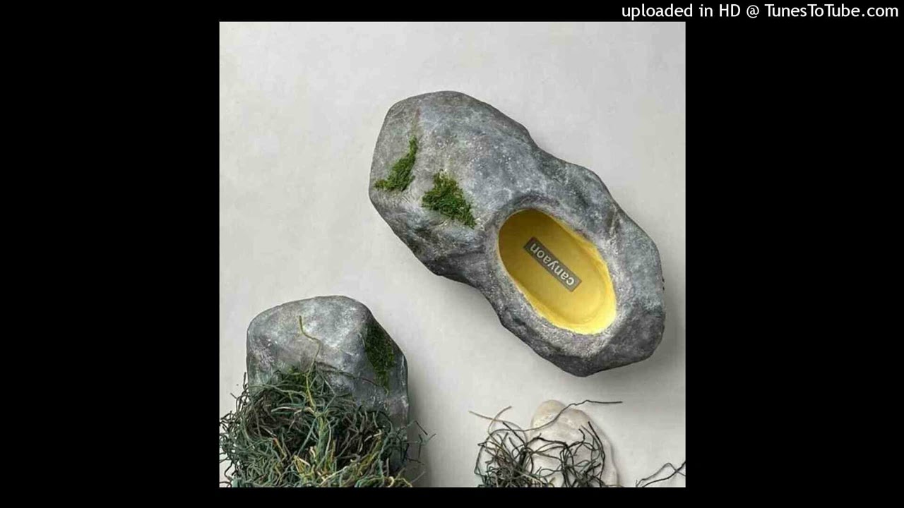 ivvys chinapoet kapric type beat