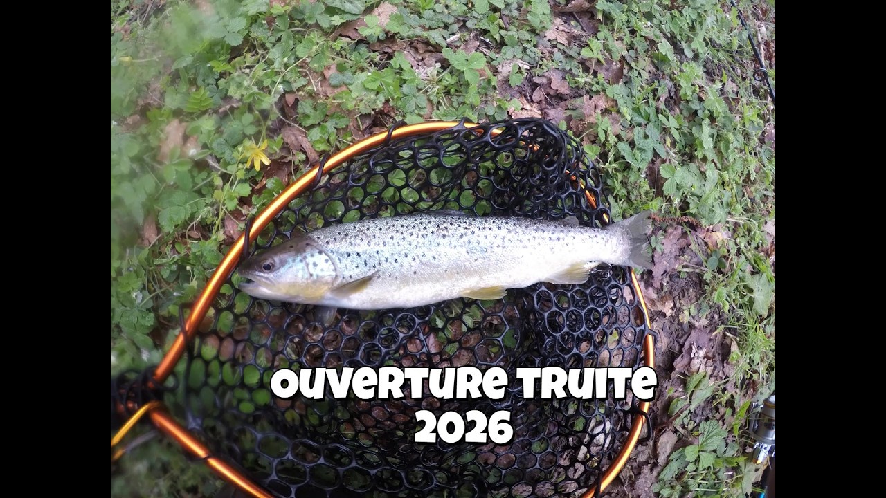 ouverture truite 2026