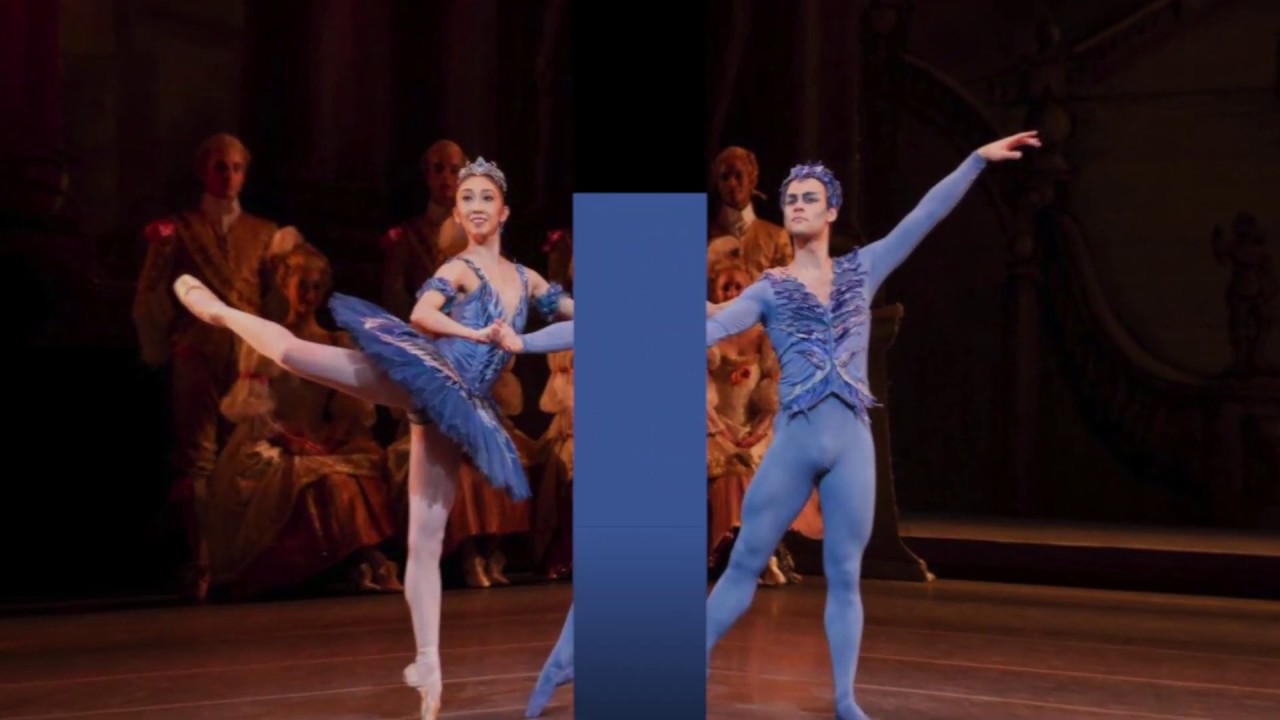 i grandi balletti della danza classica - La bella addormentata