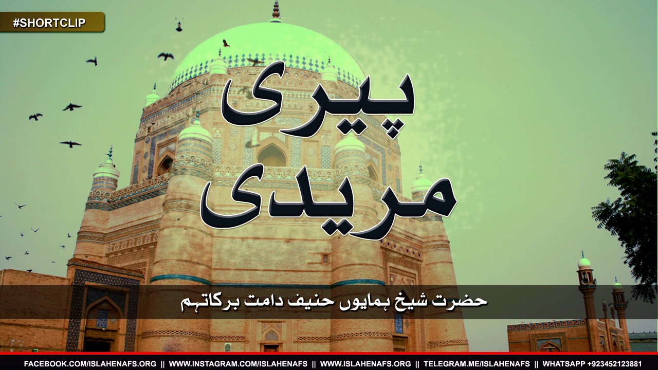 Peeri Mureedi kiya Hai? || Hazrat Shaykh Humayun Hanif Db