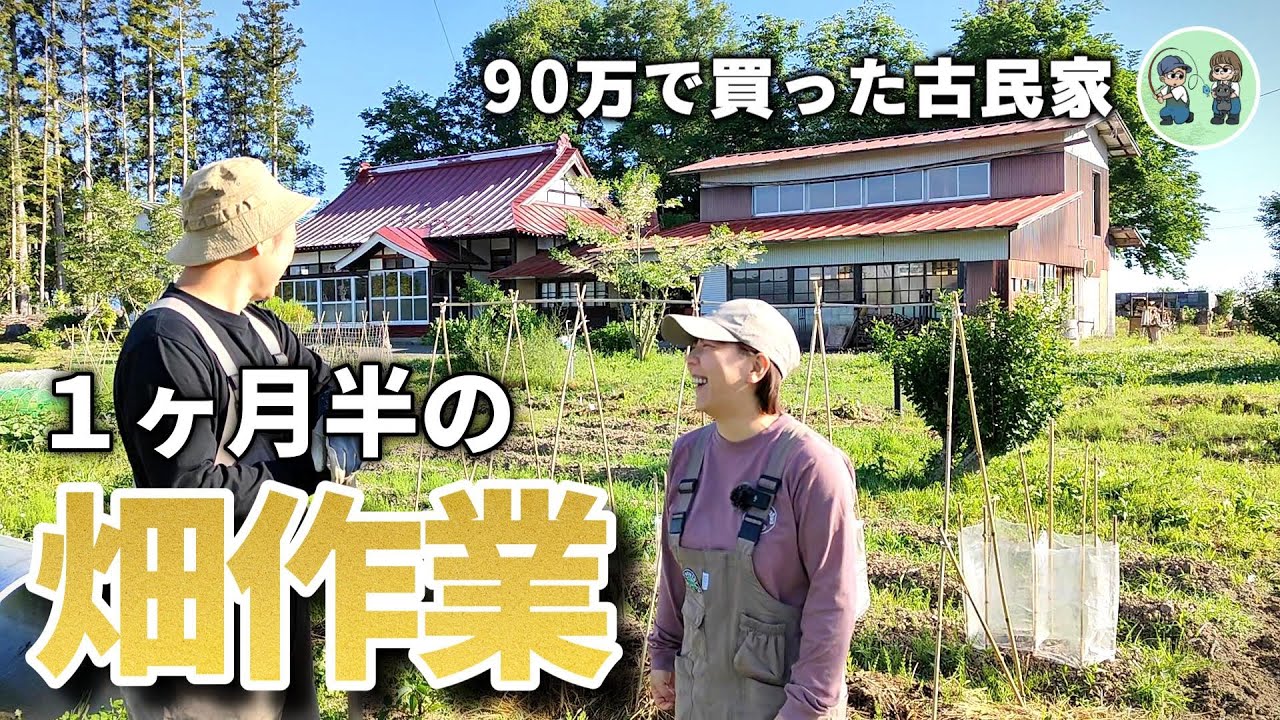 【古民家再生244】敷地整備の裏で実はやってた畑作業まとめ!  Restoration of old houses and country life