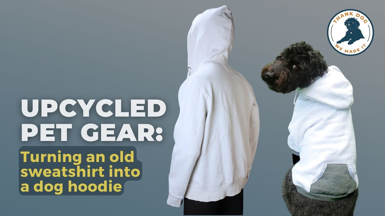 Upcycled Pet Gear: Turning an Old Sweatshirt into a Dog Hoodie