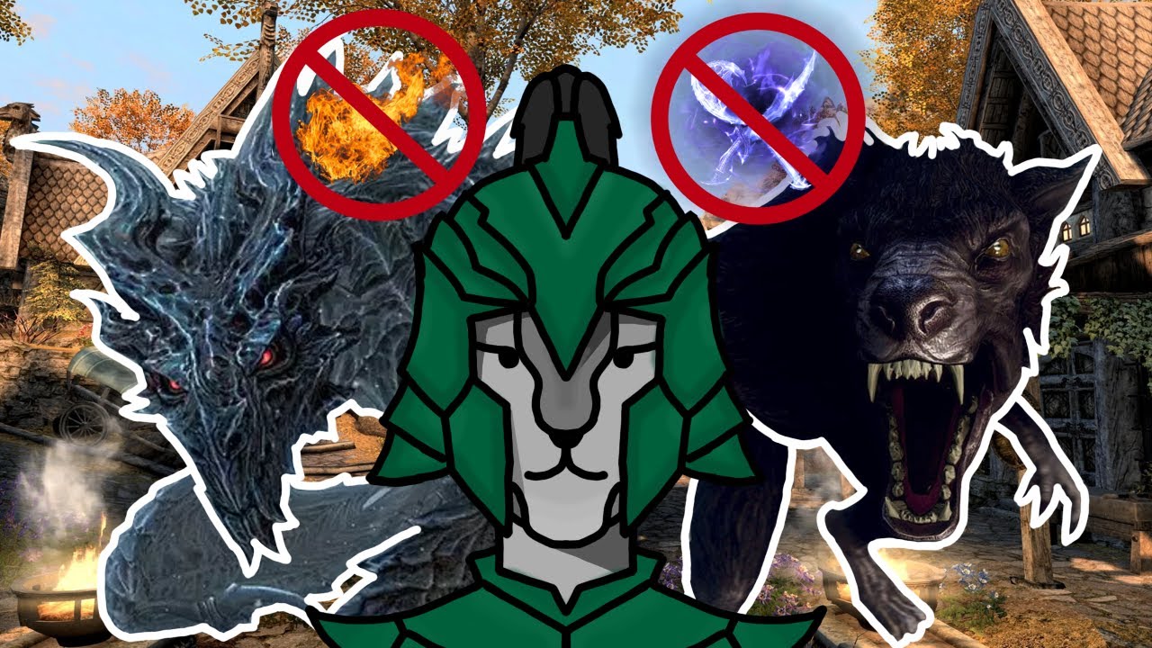 Let's Play Skyrim, With Fists Of Furry