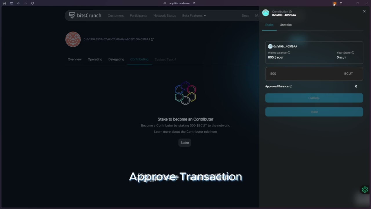 How to Become a Bitscrunch Contributor on PC/Laptop!