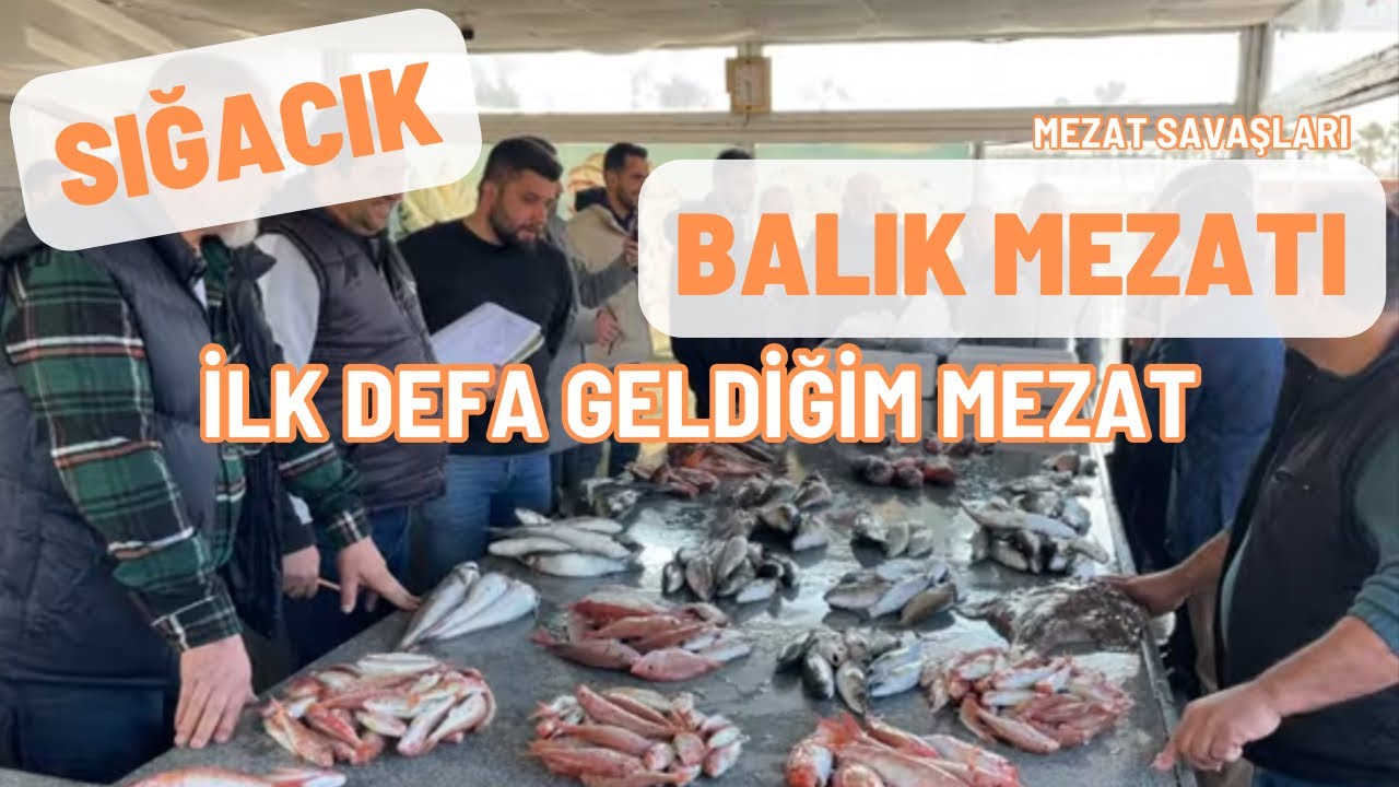 Sığacık Mezatına gittim mitinge denk geldim 24.02.2024 #balık #mezat #balıkmezatı