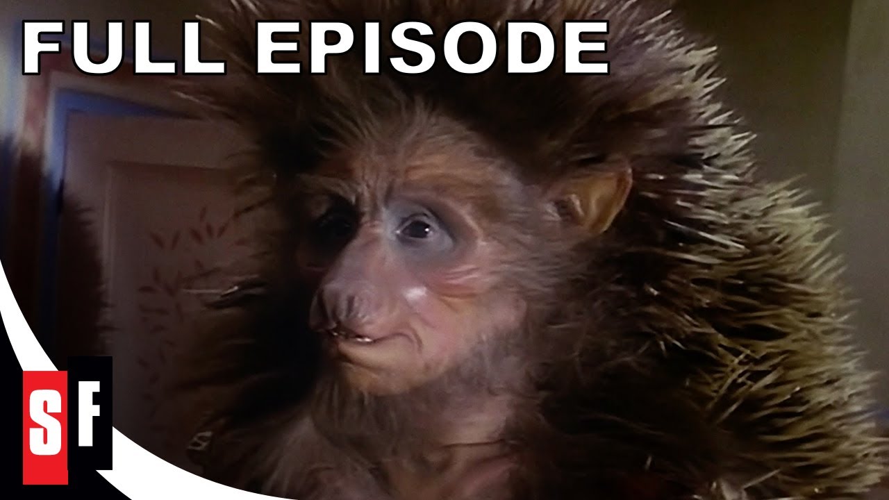 The Storyteller: Season 1 Episode 1 - Hans My Hedgehog | Full Episode