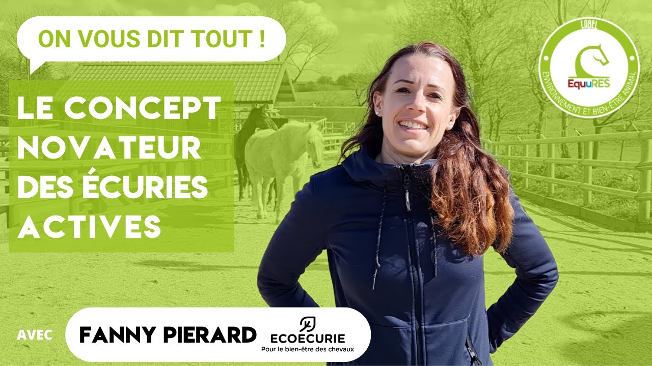 Le concept novateur des écuries actives