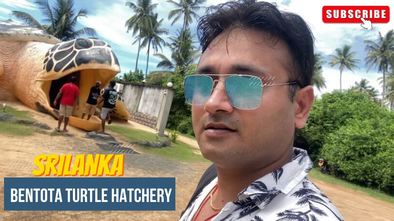 Bentota Turtle Hatchery | Turtle Bentota | Turtle Farm Tour | Tortoise Srilanka | Bentota City Ride