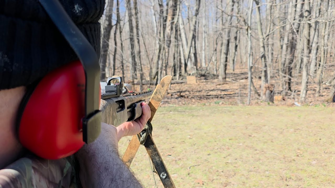 Turkey gun sight in  Bushnell RXS #shotgun #reddotsight #reflexsight #turkey #hunting  #mossberg