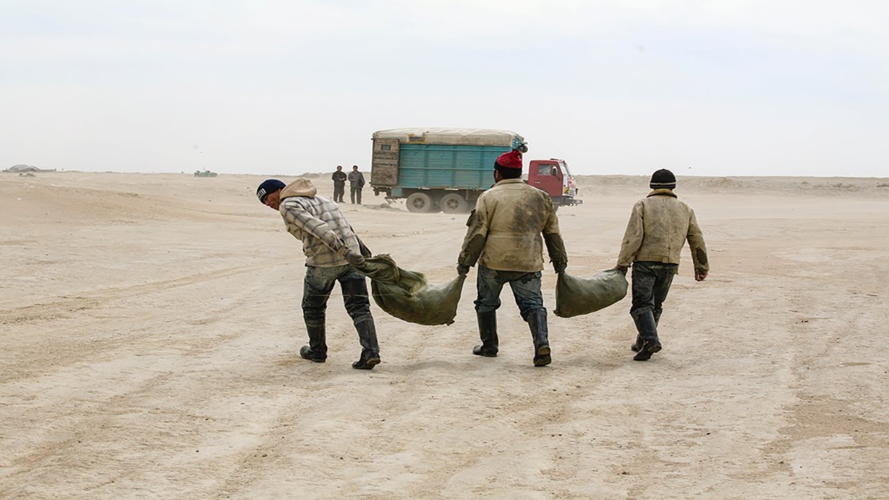 Aral Sea