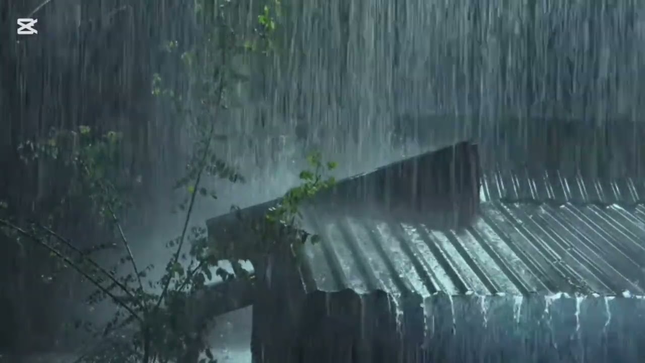 This Is a Real Rain Sound That Will Help You Sleep||Night Sleep 0.9||#rain 