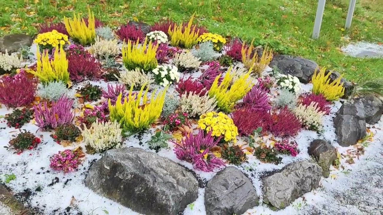 СИЛЬНЫЙ ВЕТЕР/ГРАД/Звуки природы/ОСЕНЬ/ЦВЕТЫ/Октябрь 2025/