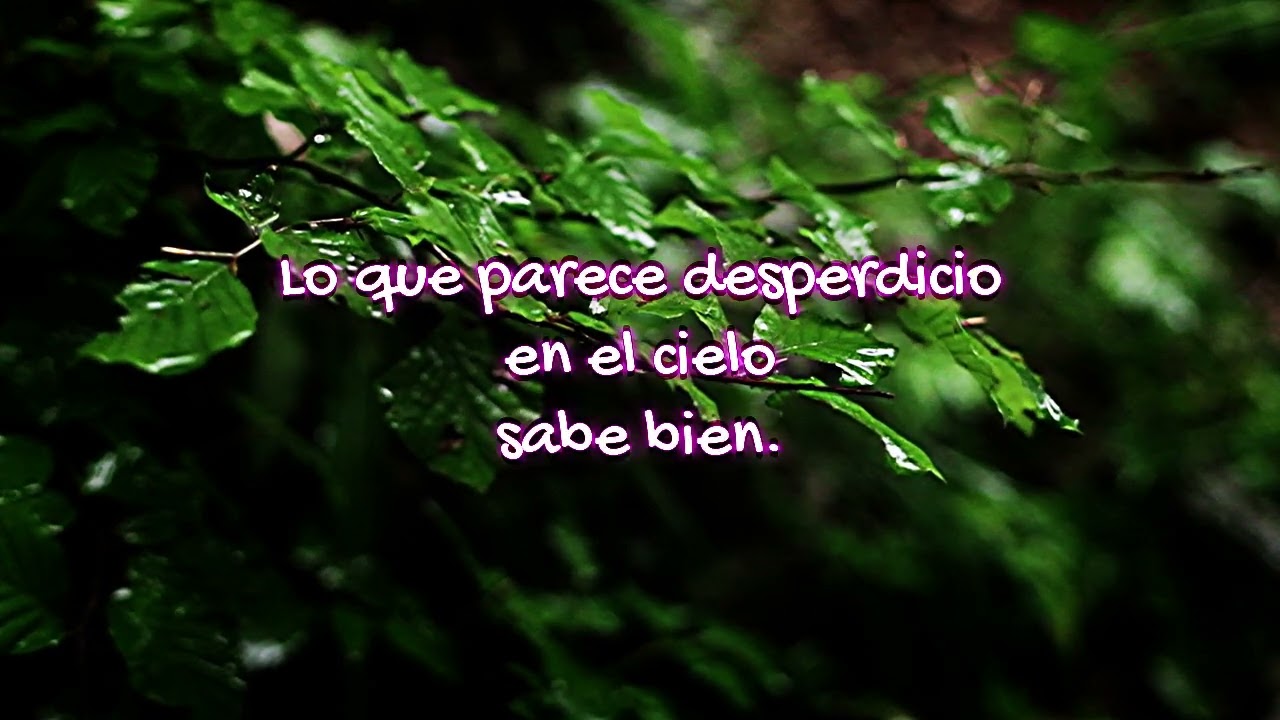 Perfume Derramado Juan 12:1-19