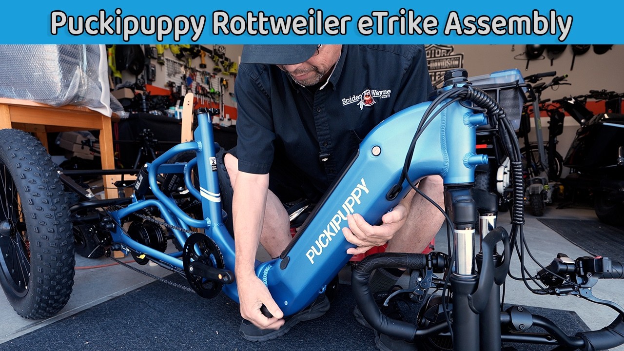 Puckipuppy Rottweiler Assembly